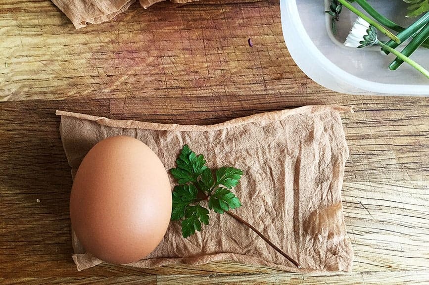 How to make leave prints on eggs