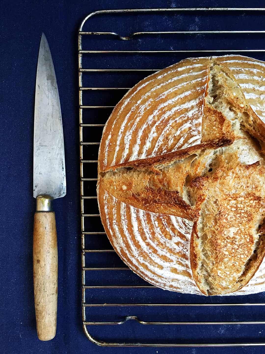 Homemade No Knead Sourdough Bread