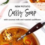 Easy, quick potato curry soup