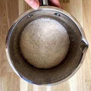 dry yeast starter