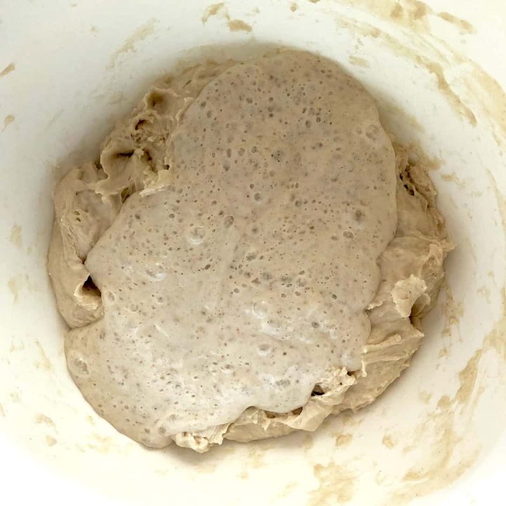 Mixing hydrated flour and leaven in a bowl