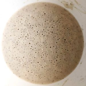 Leaven left fermenting overnight provides a starting population of wild yeast and bacteria for sourdough bread