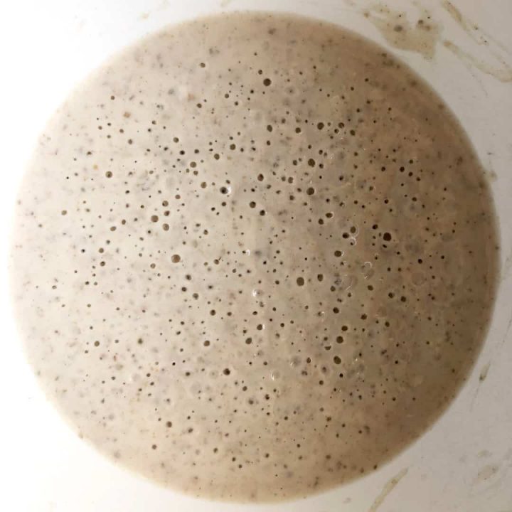Leaven left fermenting overnight provides a starting population of wild yeast and bacteria for sourdough bread